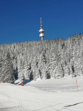 Апартамент за гости 2Б14 Grand Monastiry Pamporovo